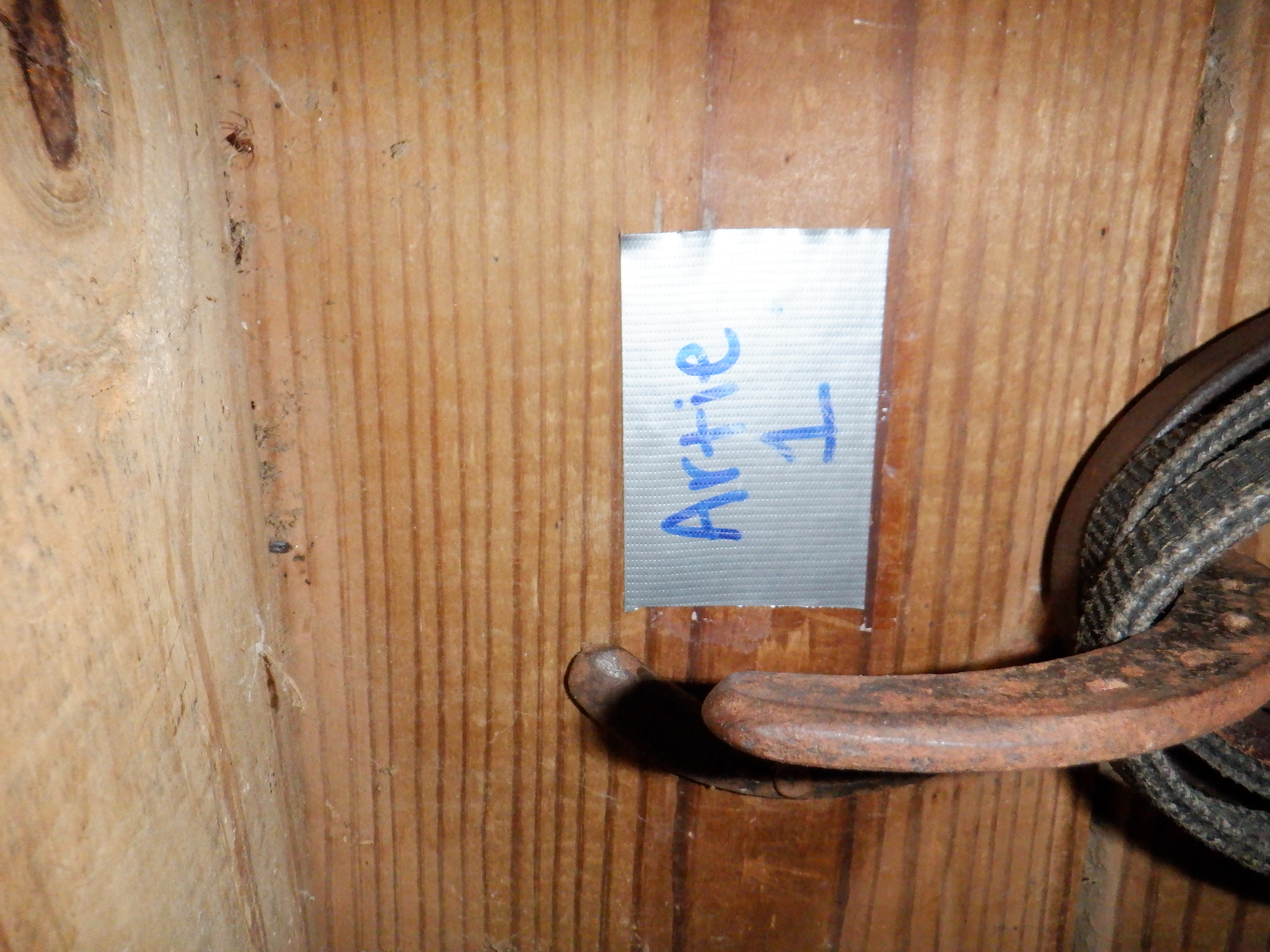 ./2020/10 - Southern Cross/DSCF2134.JPG